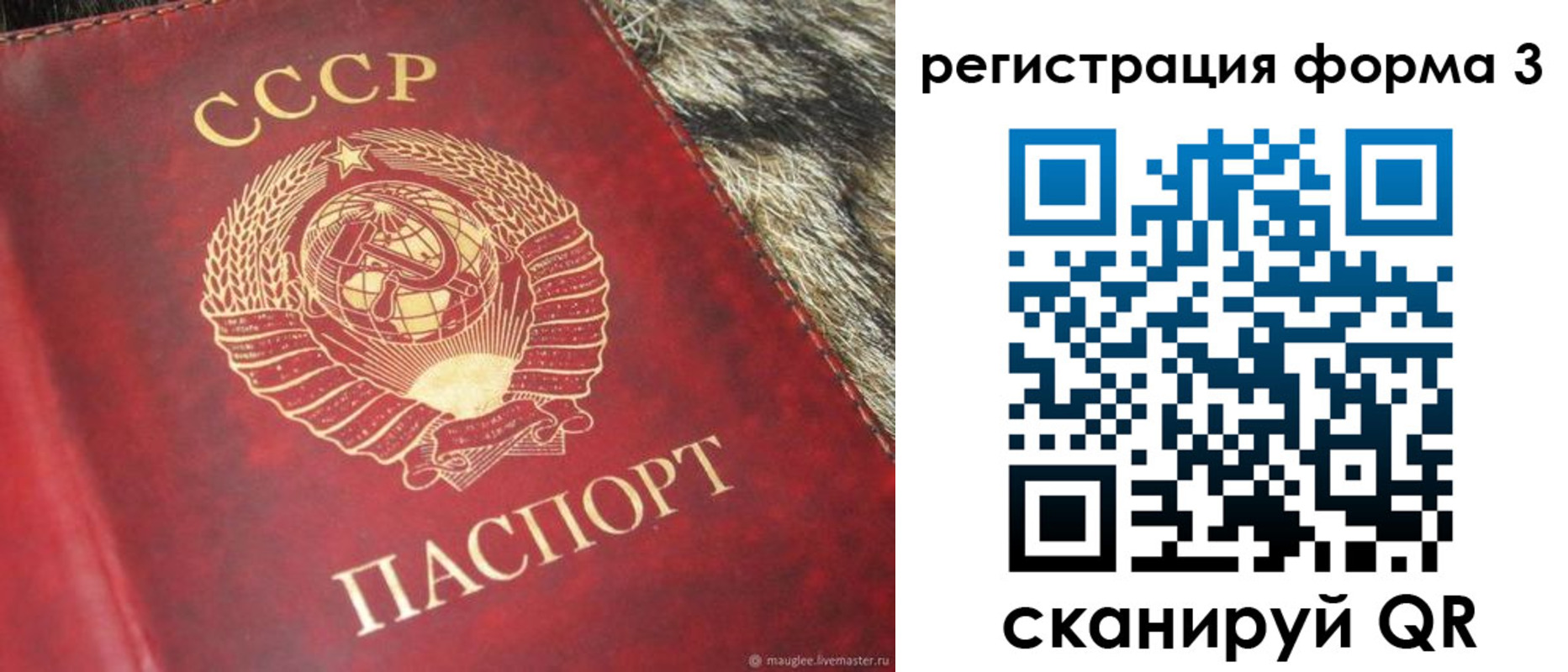 прописка регистрация в Коле